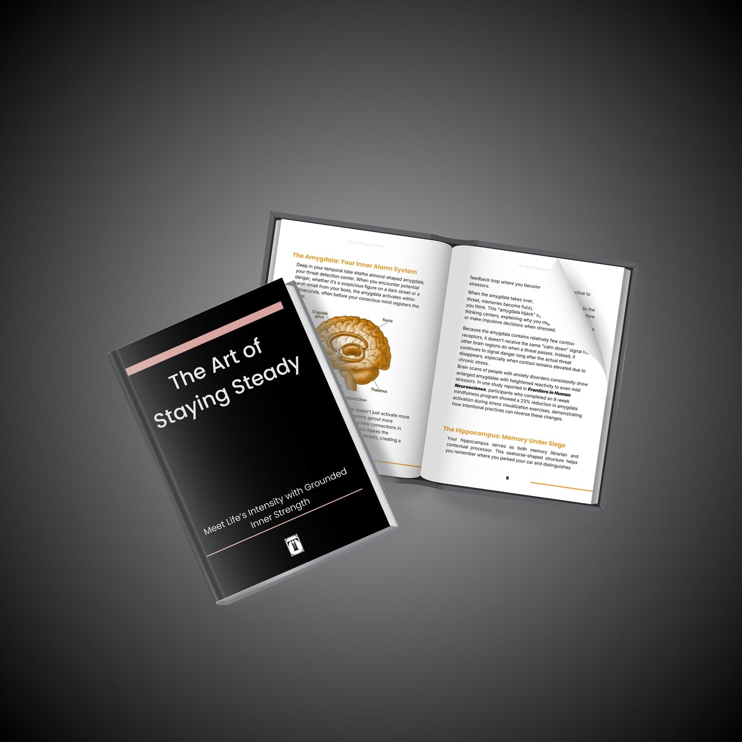 The Art of Staying Steady